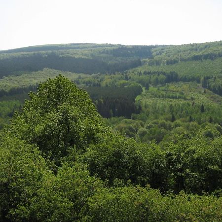 Berghotel Holzerath Dış mekan fotoğraf